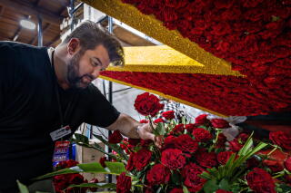 A man with dark hair and beard, in a dark shirt, arranges red roses on a float