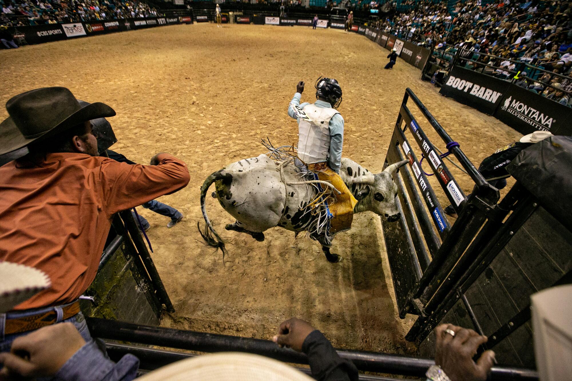 A bull and rider exit the bucking chute at the Bill Pickett Invitational Rodeo.