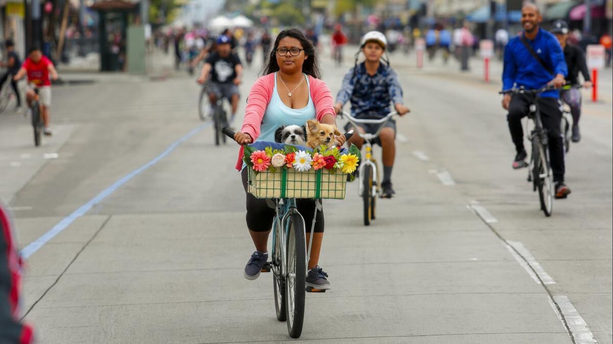 Taking to the streets — on bikes.