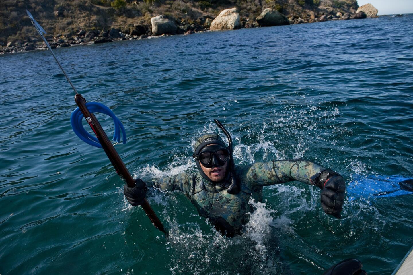 Spearfishing off Catalina Island