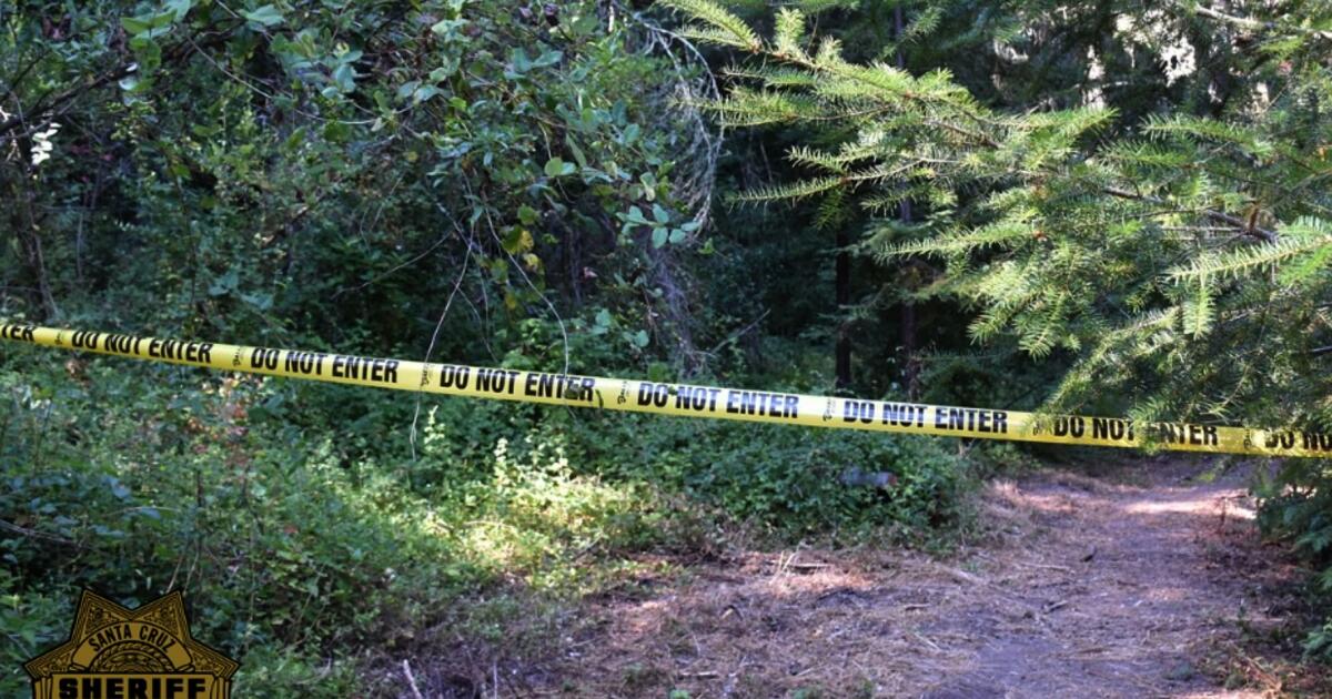 Lizbeth Arceo Sedano discovered lifeless in Santa Cruz Mountains