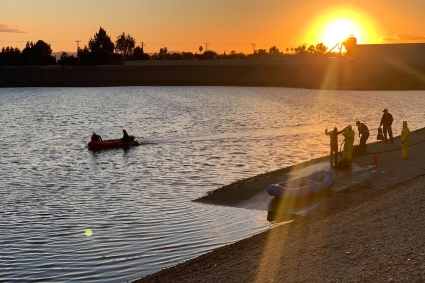 Search efforts from the air and ground continued on Nov. 8 in search for possible drowning victims. (Ontario Fire Department)