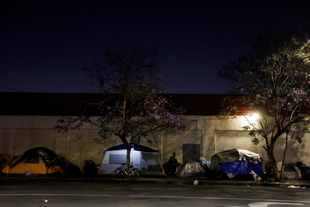 Homeless encampment north of Martin Luther King Jr. Boulevard in Los Angeles