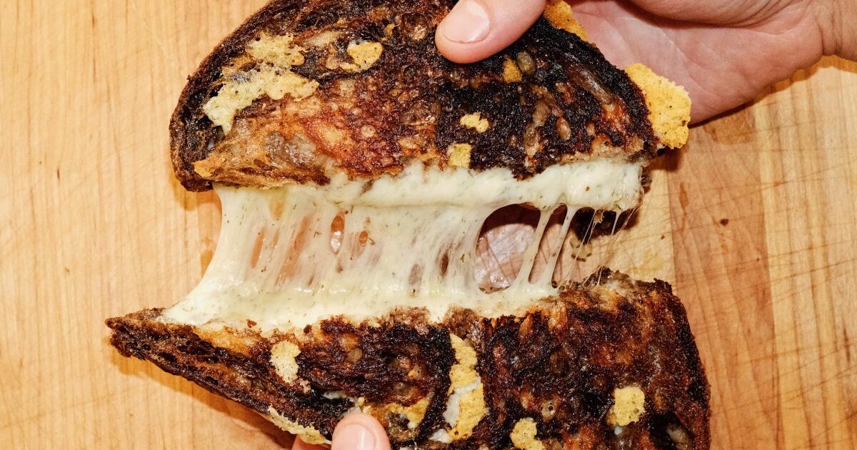 Çavdar üzerinde dereotu havarti ile ızgara peynir Tarifi