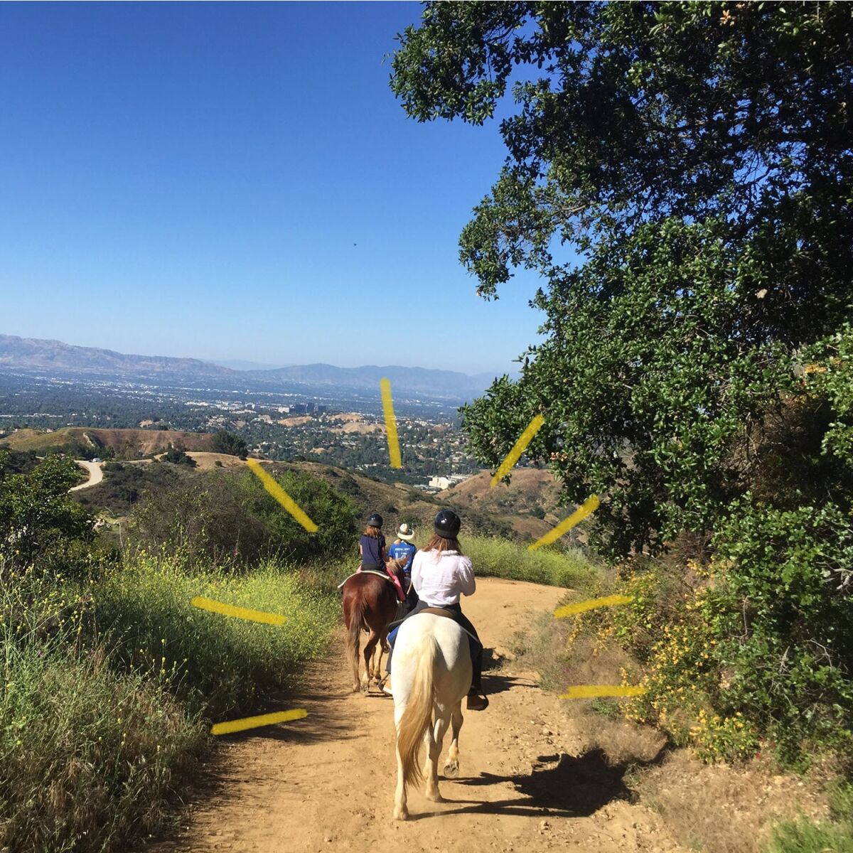 LA Horseback Riding trail ride in Topanga.