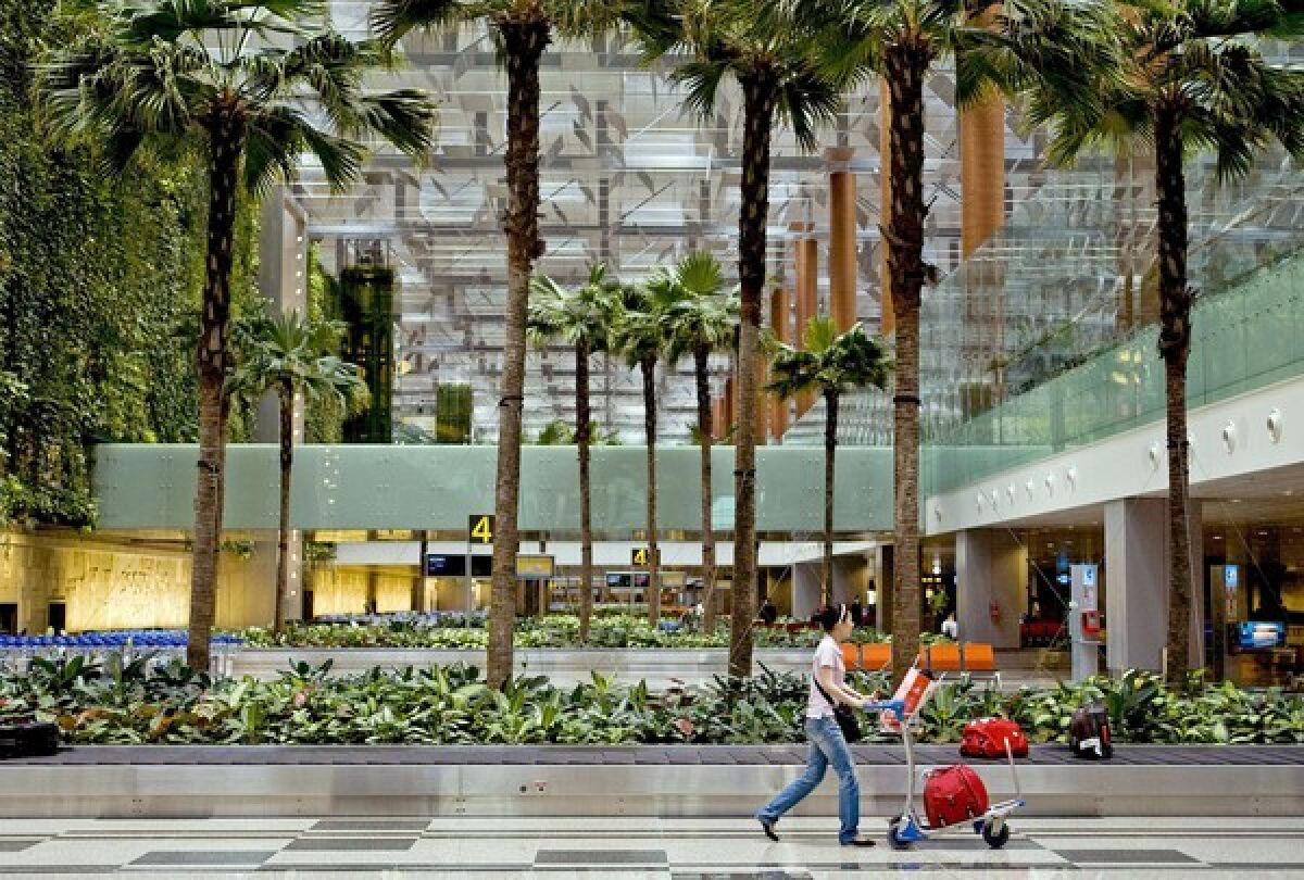 Palm trees and other greenery lend Singapore's Changi Airport a note of serenity.