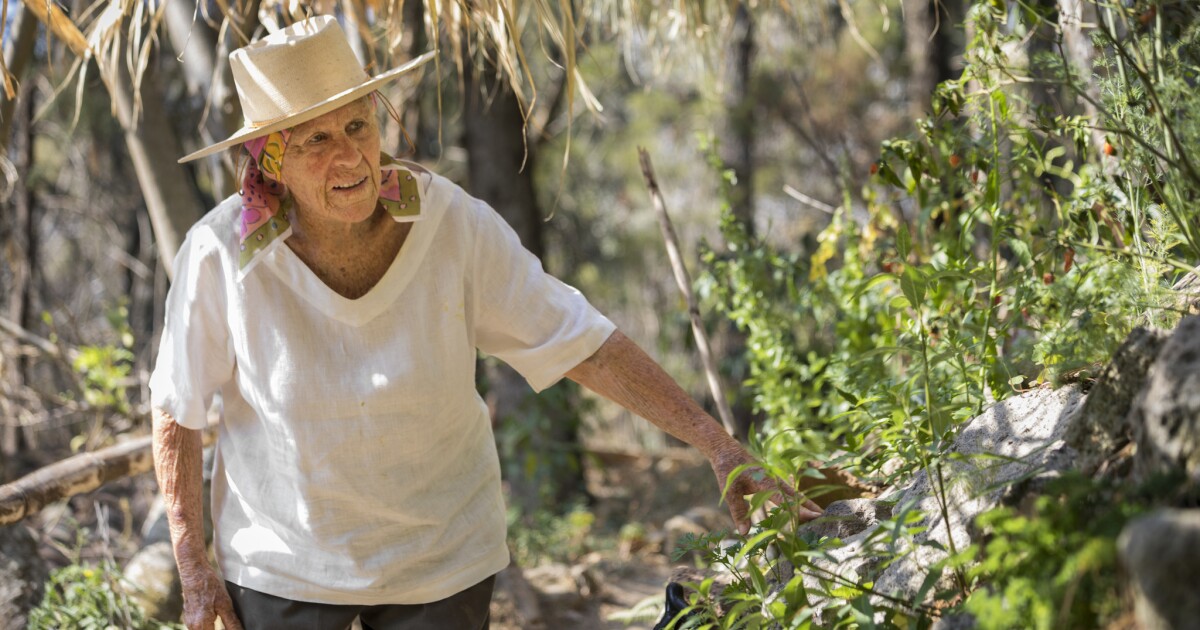 Diana Kennedy dies: Author of celebrated books on Mexican cooking