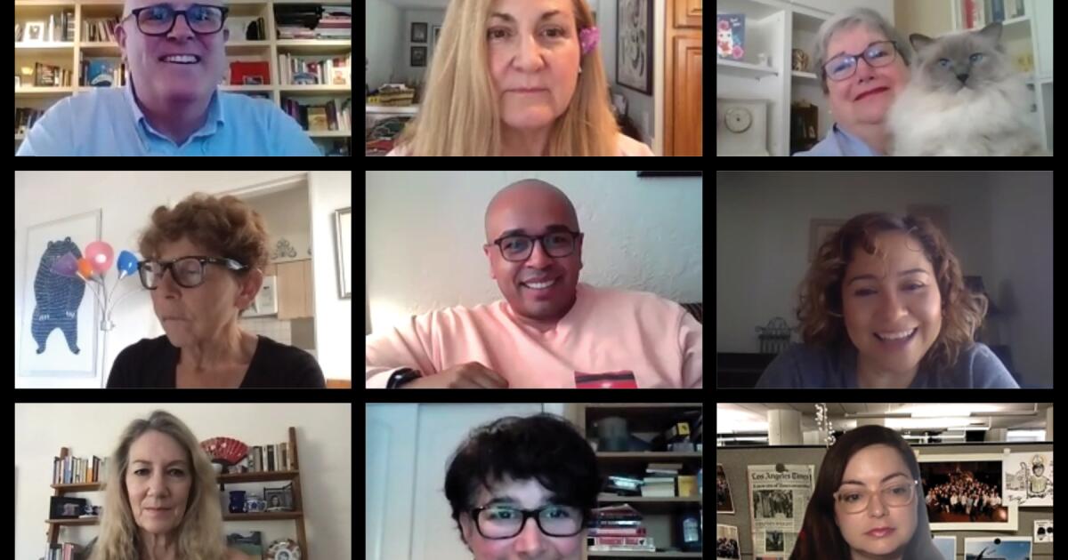 Zoom meetings: Look and sound great with Hollywood pro tips - Los ...