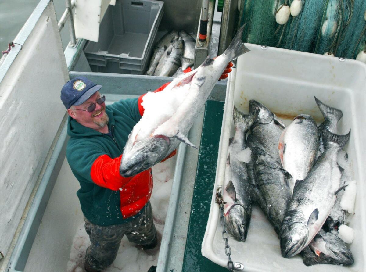 A new report shows that many U.S. fisheries are recovering.