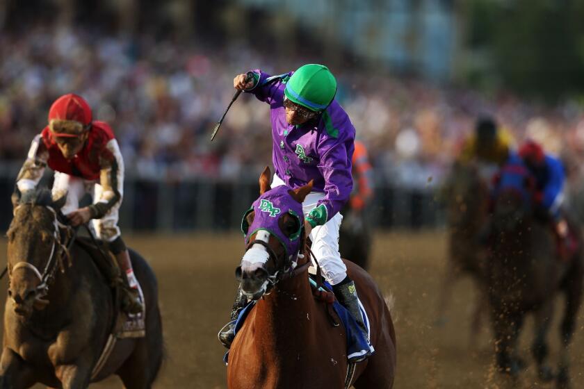 Jockey Victor Espinoza begins to celebrate as he guides California Chrome to the finish line.