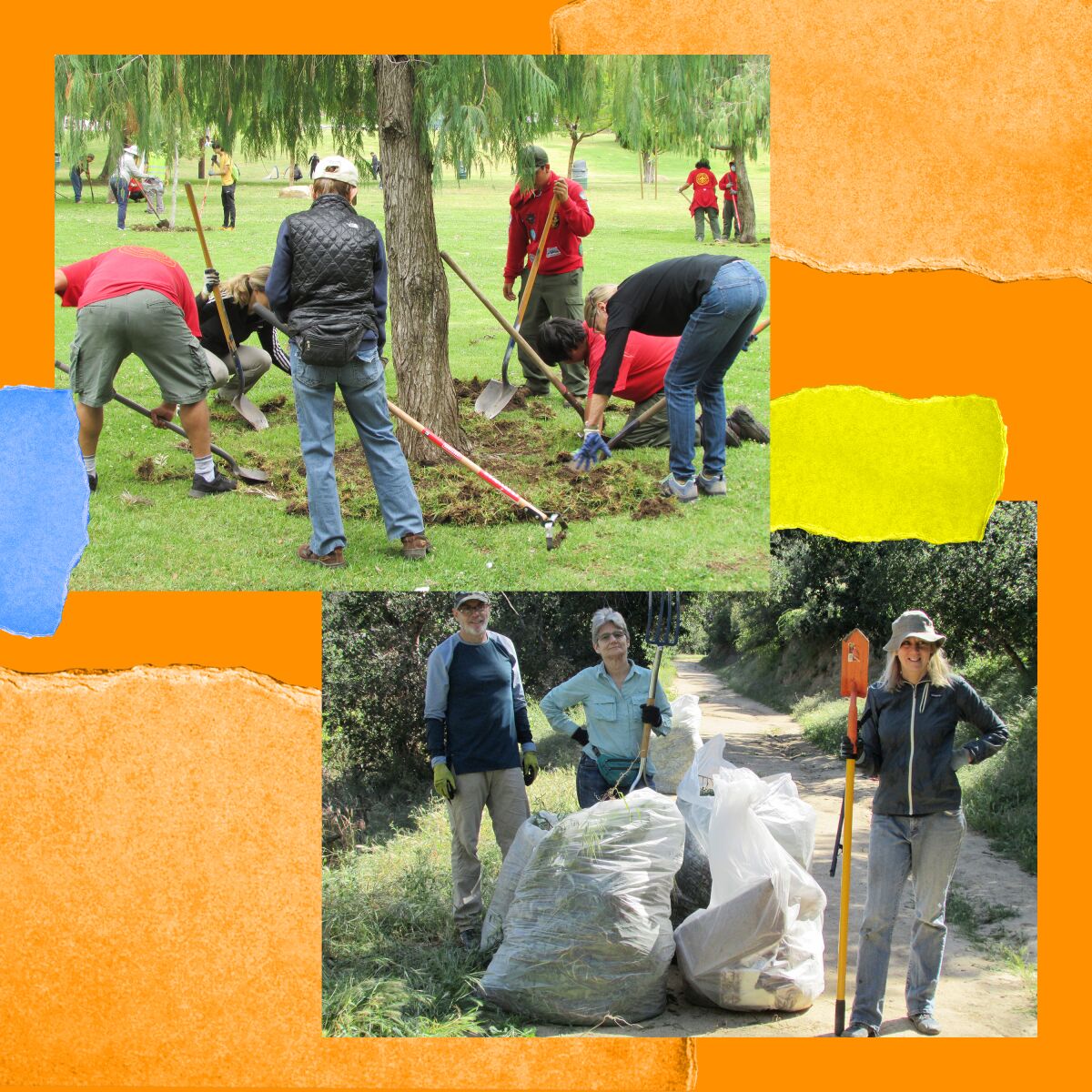 Two photos: One of people with rakes and hoes working on ground around a tree; another of people with trash bags.