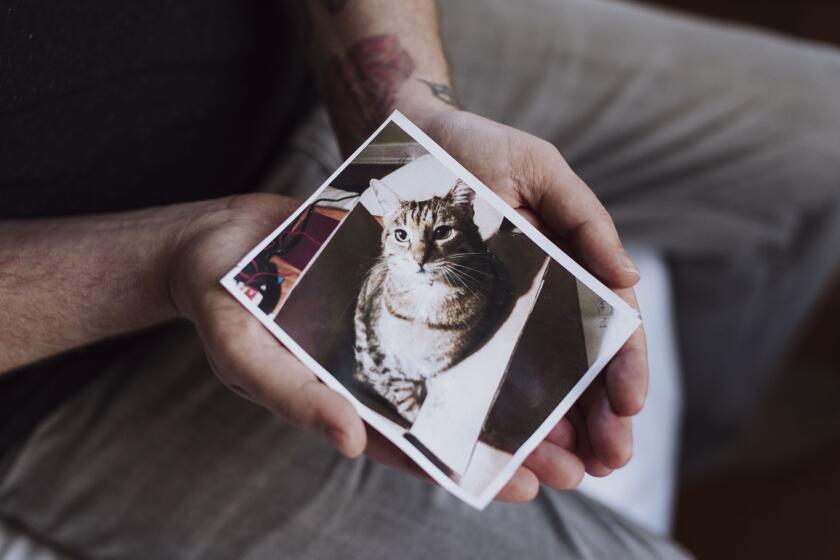 Van Nuys, CA - April 16: Robert Balog holds an image of his late cat Stewie in his home on Tuesday, April 16, 2024 in Van Nuys, CA. Balog was victim of a scam where pet owners never received the remains of their animal after cremation. (Carlin Stiehl / For the Times)