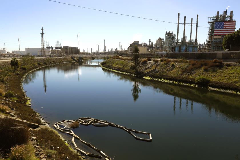 Los Angeles, California-Feb. 4, 2022-The 15-mile-long Dominguez Channel remains a neglected, trash-strewn waterway designed to flush pollution discharged from surrounding neighborhoods, industrial facilities and oil refineries out into the Pacific Ocean. Four months ago, a warehouse fire sent millions of gallons of hand-sanitizer liquid laced with carcinogenic substances sloshing into the Dominguez Channel, poisoning wildlife, churning up a strong, putrid smell of sewage that sickened residents for miles. (Carolyn Cole / Los Angeles Times)