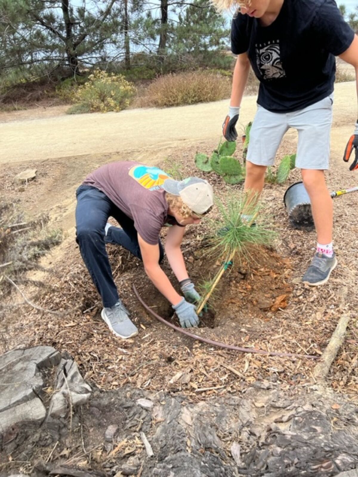 Tyden Chinowsky at work during a recent planting event.