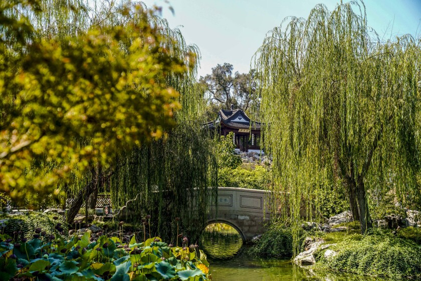 The lush grounds of the Huntington