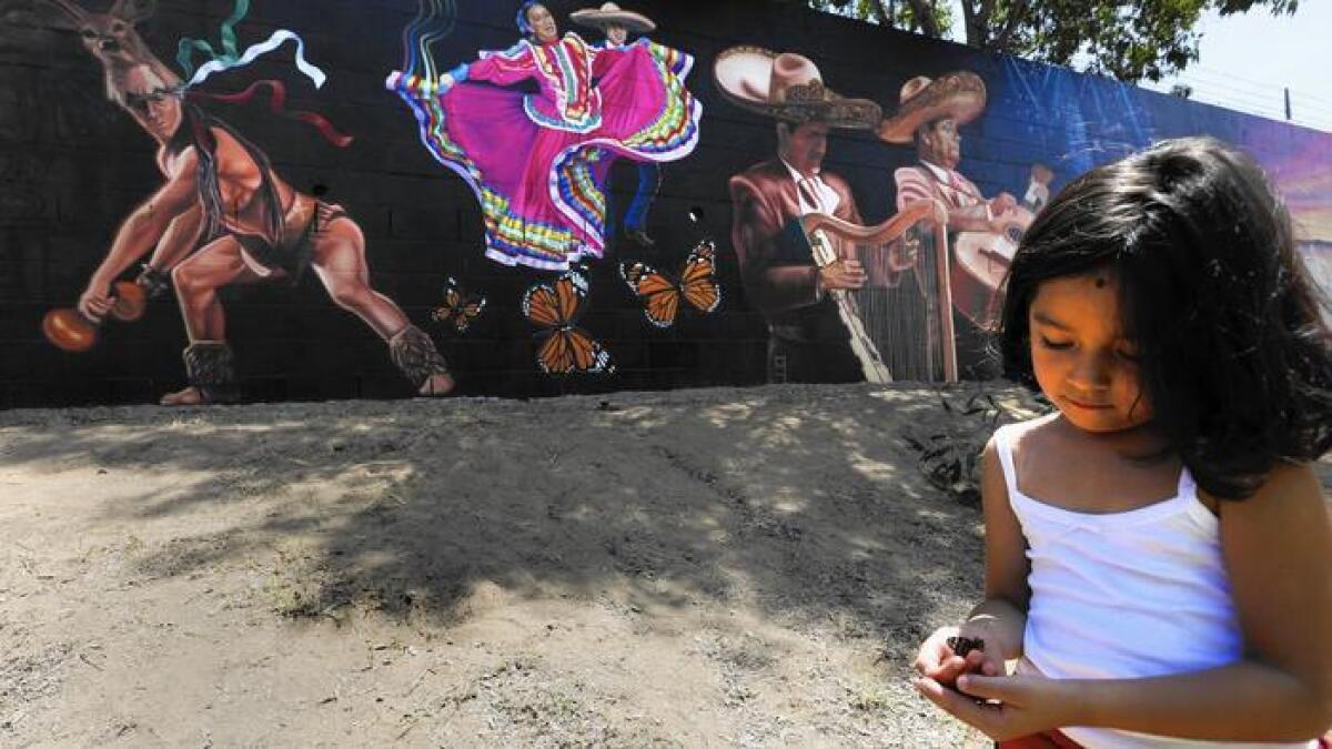 El jueves, Long Beach dedicó el parque conmemorativo Jenni Rivera Memorial Park en honor a la cantante mexicano estadounidense quien murió en un accidente aéreo en el 2012. La nieta de Rivera, Jaylah Hope Yanez, juega con una mariposa cerca del mural del parque, apodado la “Mariposa del barrio”.