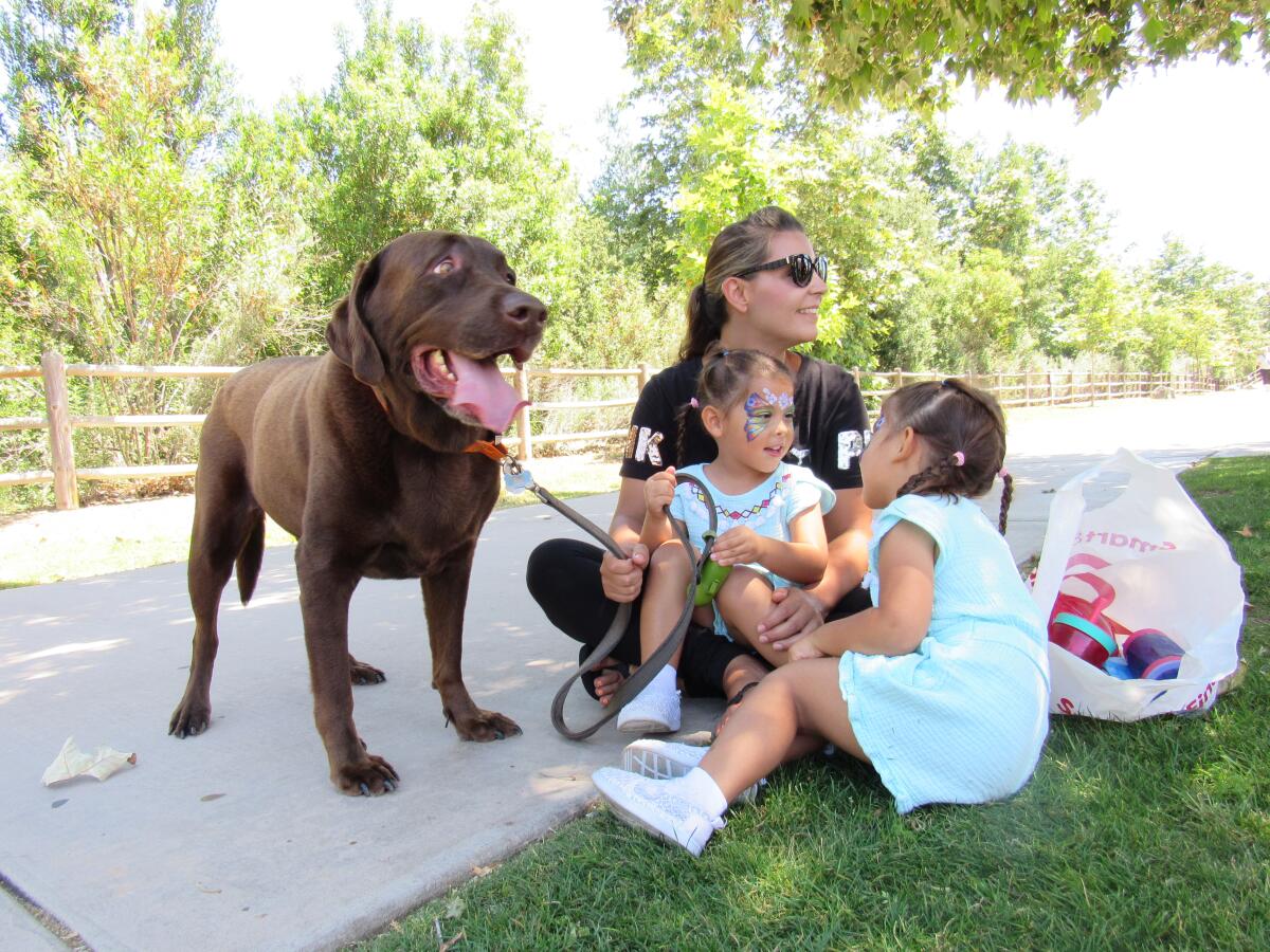 Santee is looking to create a brand for itself with a company that is asking interested parties to weigh in via a survey about the city. The city is looking to create more focus on some of its positives, like the annual Fido Fest event held at the Santee Community Park where dogs are the center attraction.