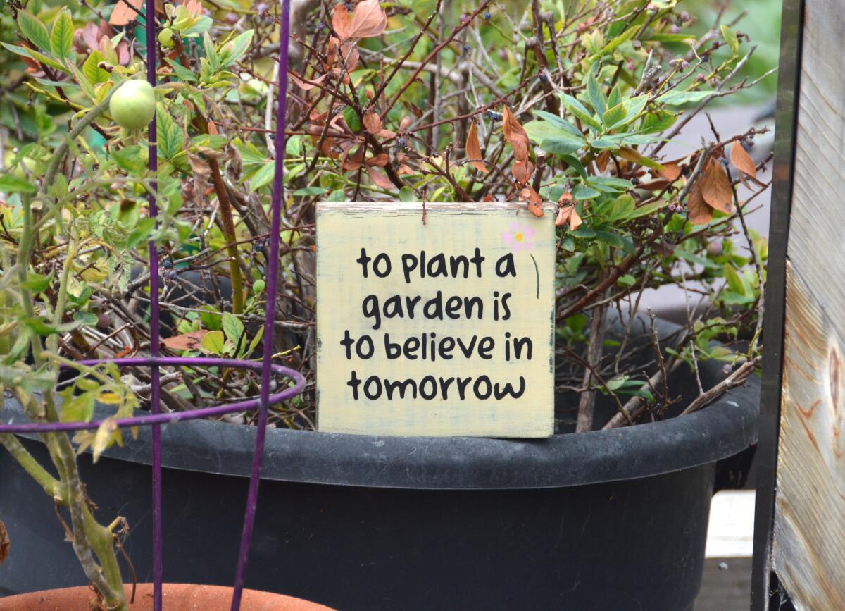 A unique individual garden plot bears a sign in the OASIS Senior Center garden.
