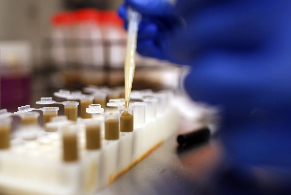 Dr. Thomas Louie, an infectious disease specialist at the University of Calgary, prepares vials in the process of making stool pills in his lab in Canada. Half a million Americans get Clostridium difficile infections each year.