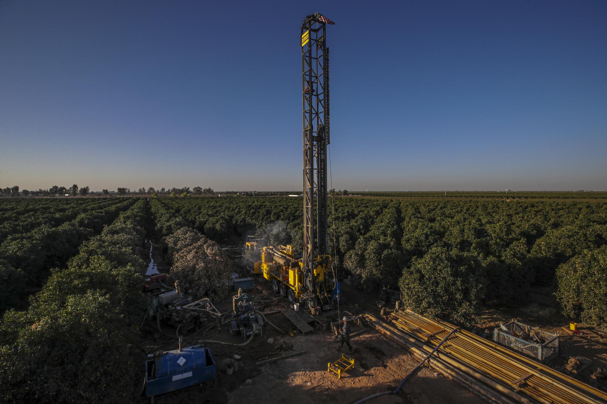 A well-drilling rig rises from an orchard.