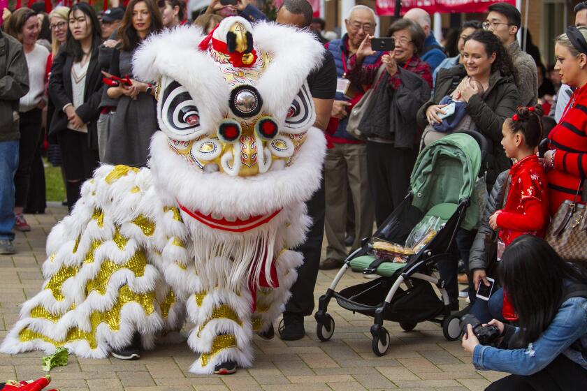Spectators watch the lion dance during a celebration of the Lunar New Year at the Universityof California, Irvine on Tuesday, January 21.