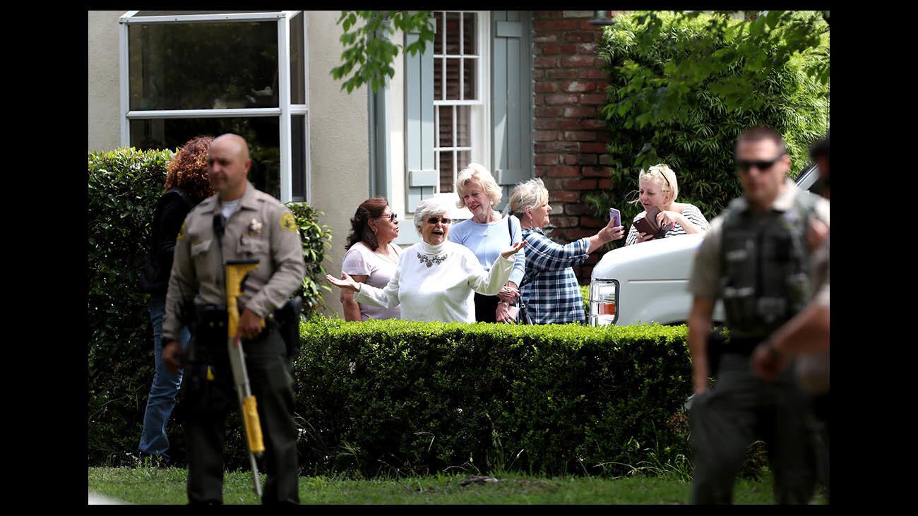 Photo Gallery: Young black bear causes stir in local neighborhood