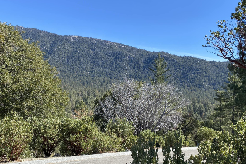 Idyllwild is nestled in the San Jacinto mountains about 112 miles from San Diego.