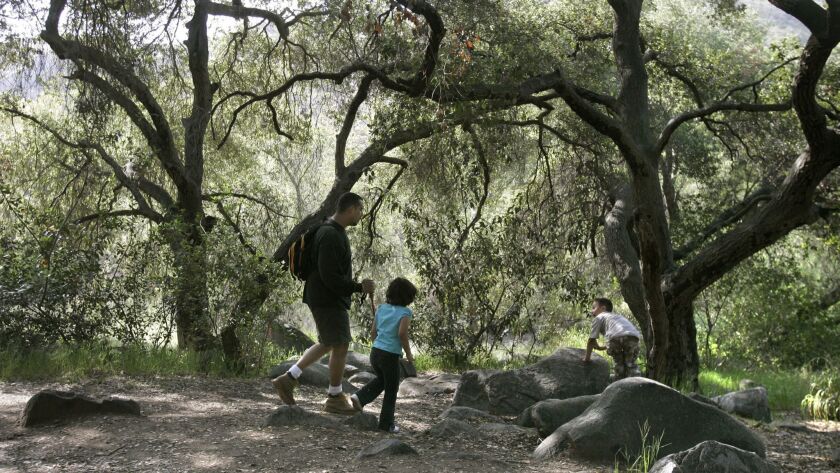 In this file photo, Victor Marrero and his children explore a wooded area near the San Diego River in Mission Trails Regional Park on a Saturday afternoon.