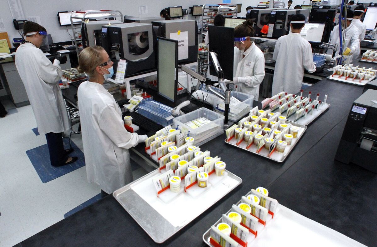 In this file photo, Millennium Labs' employees worked through the process of bar-code identification for the thousands of urine samples that arrived daily from around the country to the Rancho Bernardo-based lab. — Don Boomer