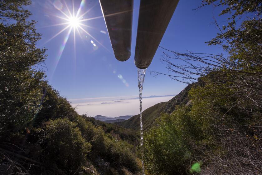 Rimforest, CA - December 04: Water pours out of a pipe beside one of the sites in the San Bernardino Mountains where the company BlueTriton Brands collects water for bottling. Photos taken in San Bernardino National Forest on Saturday, Dec. 4, 2021, near Rimforest, CA. (Allen J. Schaben / Los Angeles Times)