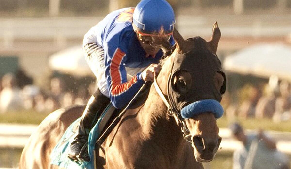 Game On Dude looks to add to his collection of Southern California victories with a win at the $1-million Grade I Pacific Classic at Del Mar on Sunday.