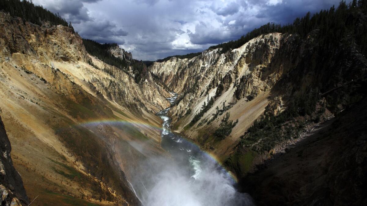 A rainbow appears in the mist of the churning water of Lower Falls at the Grand Canyon of the Yellowstone in Yellowstone National Park.