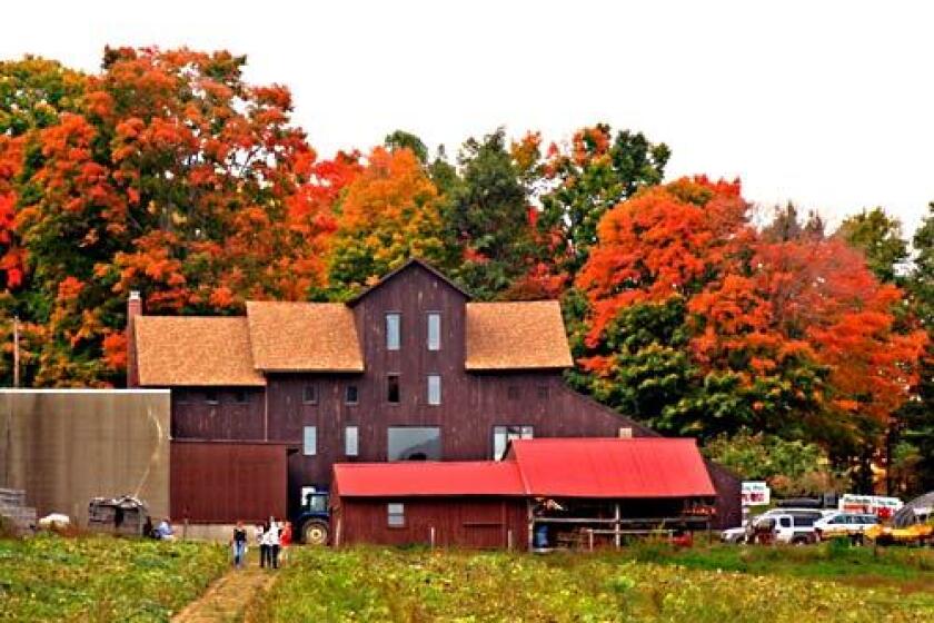 Pick-your-own-apple time at Ellsworth Hill Orchard and Farm near Sharon, Conn.