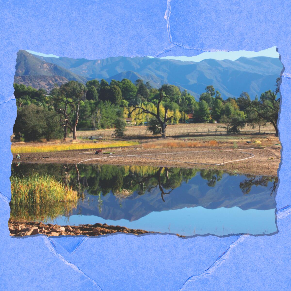 A body of water reflects nearby trees and a mountain.