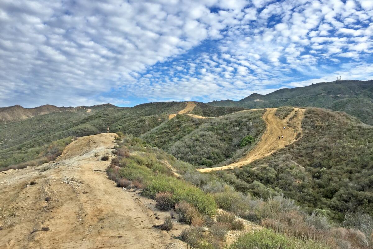 A view of the Placerita Canyon hike