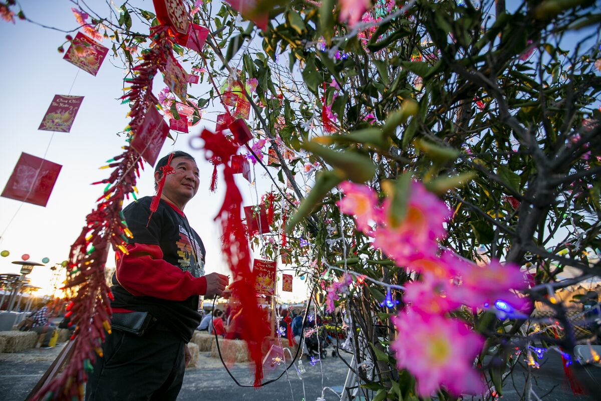 Tue Nguyen decorates a Lucky Tree during the opening day of the Tet Festival at the O.C.