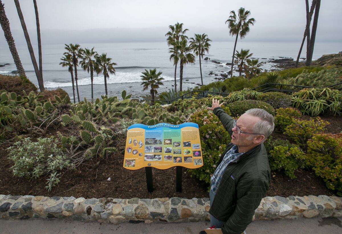 Bill Hoffman talks about the tide pools from Heisler Park on Tuesday in Laguna Beach.