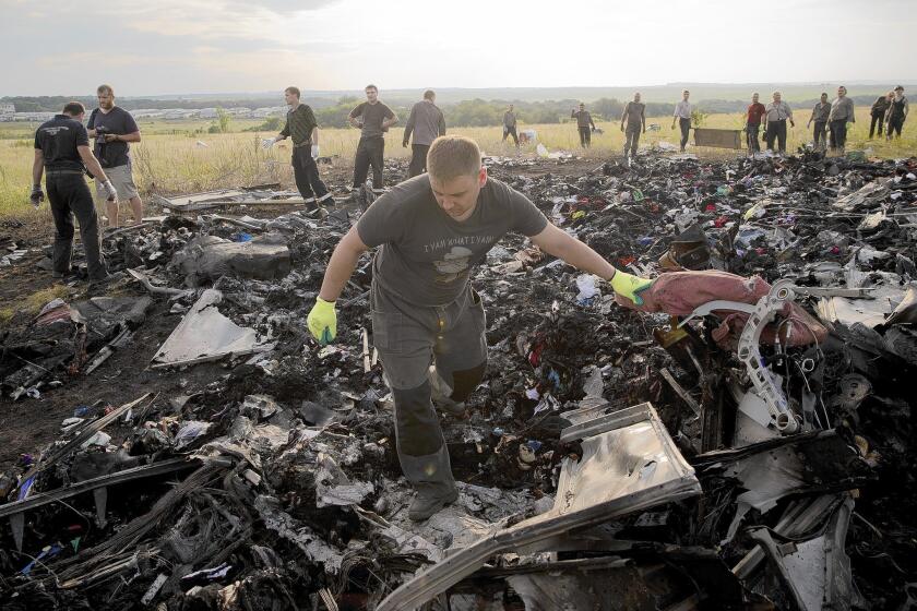 A man looks for the remains of victims Saturday in the debris of Malaysia Airlines Flight 17 near the village of Hrabove, in eastern Ukraine.