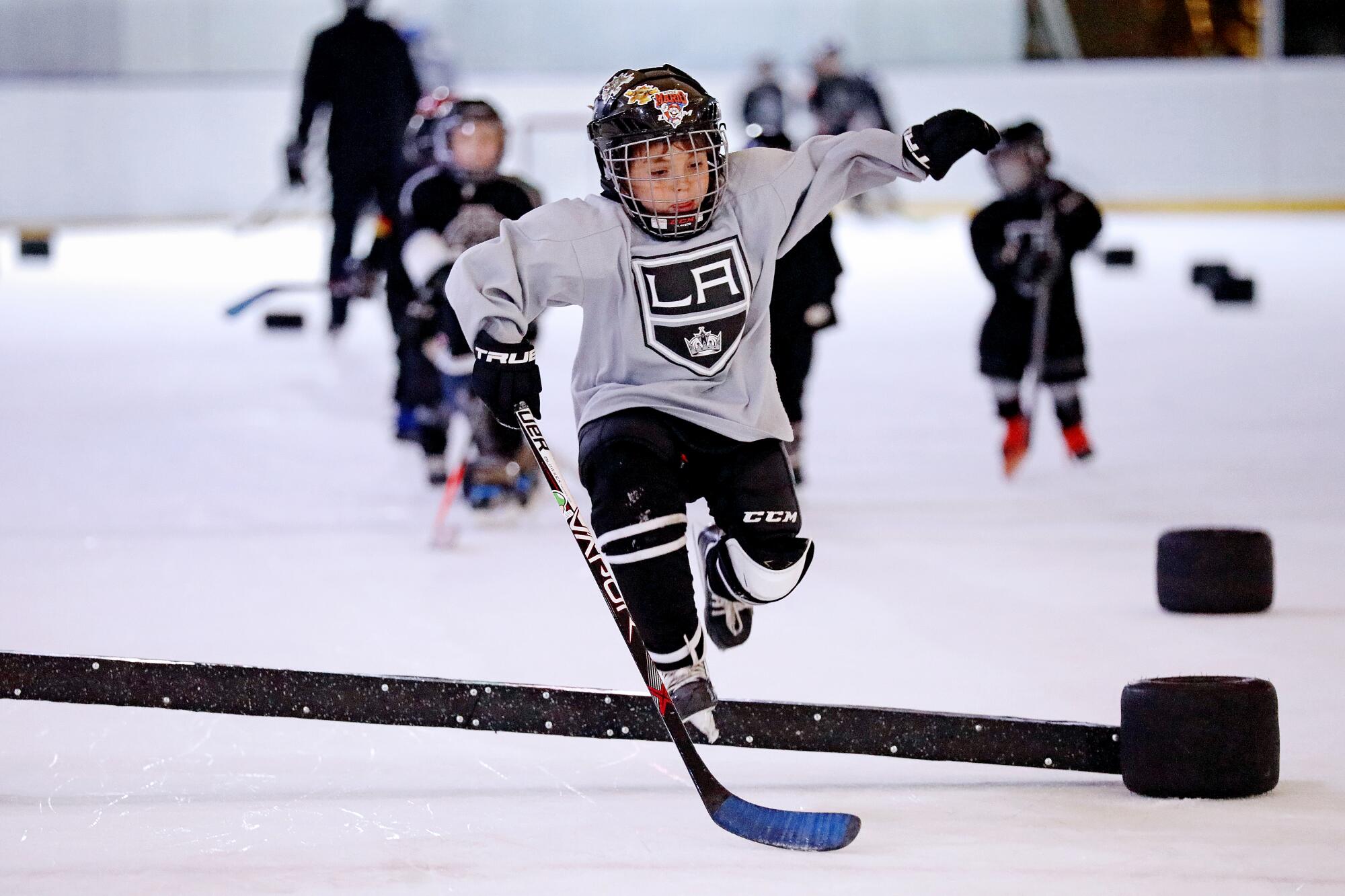 What's Next For The California Hockey Teams
