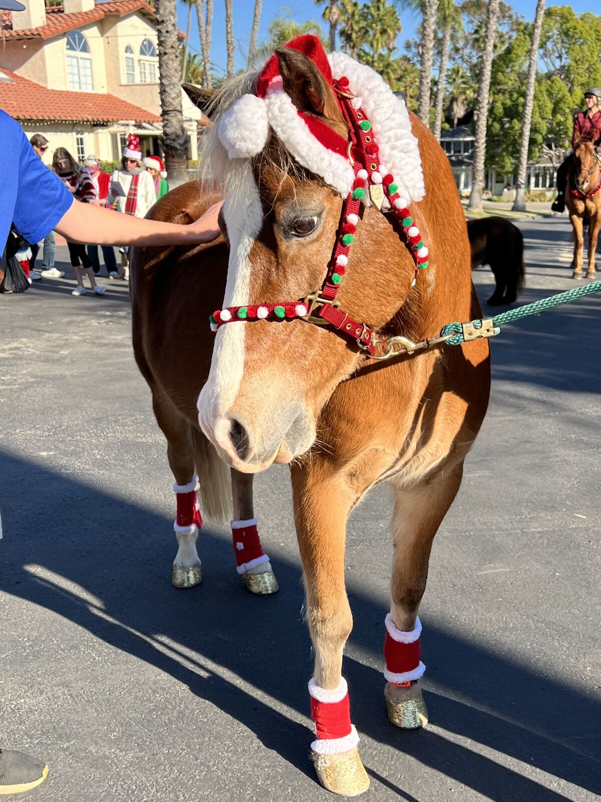 The San Dieguito Riders visited Olivenhain neighborhoods to sing Christmas carols on horseback.