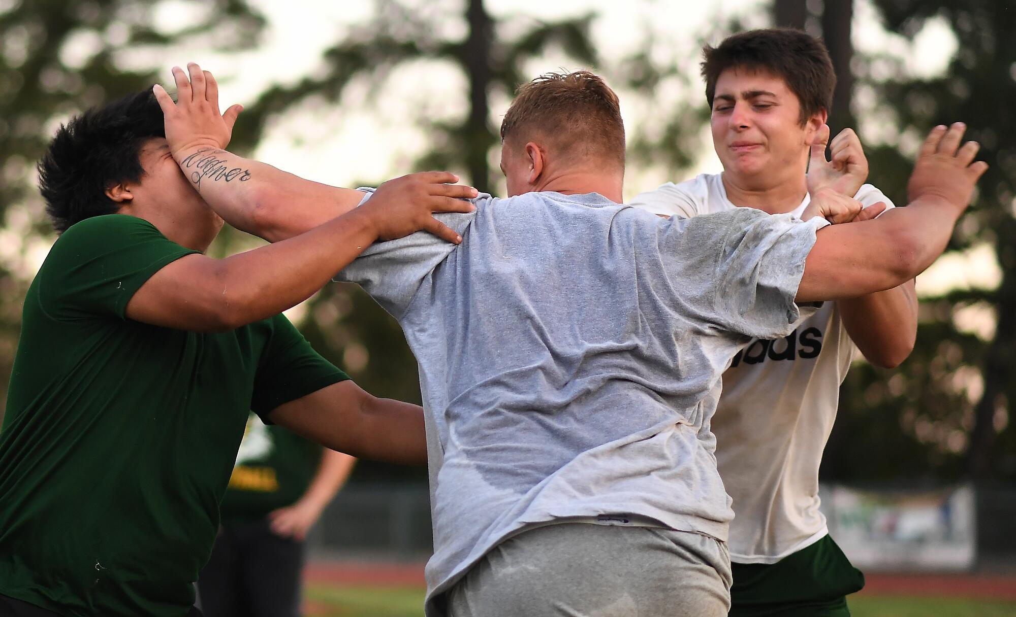 Paradise offensive lineman Ashton Wagner, center, stiff arms teammate Jose Velasquez, left, and holds back Blake White during a team practice session.