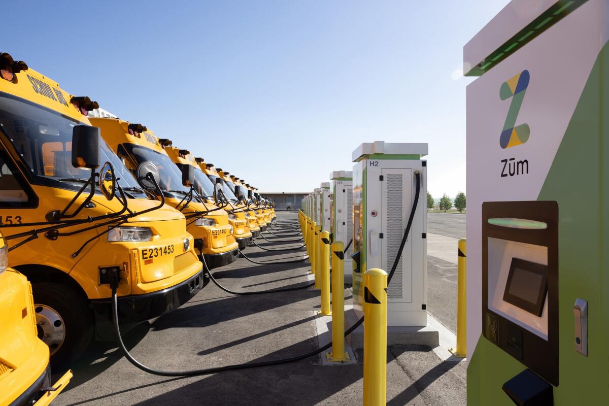 Zum is providing a fleet of 74 electric school buses and bidirectional chargers in Oakland.