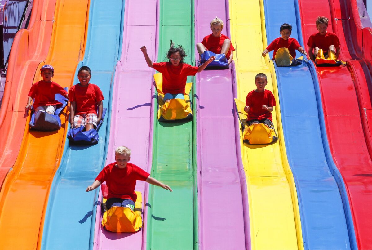 Children sliding down slides