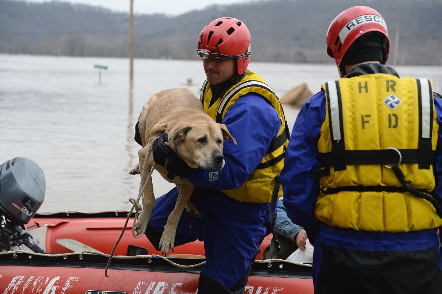 The High Ridge Fire Department rescues stranded residents and pets along the Meremac River in Eureka, Mo.