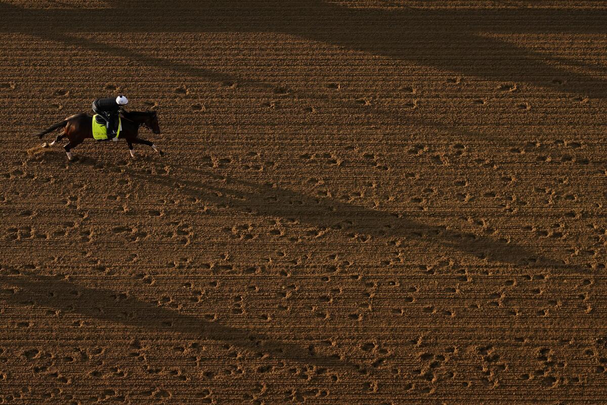 Kentucky Derby entrant Sierra Leone works out at Churchill Downs in Louisville, Ky. 