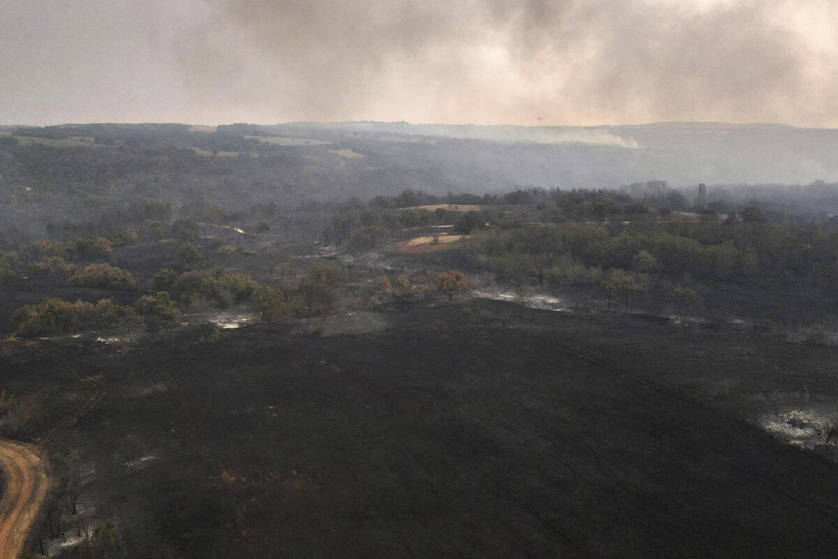 Arde un incendio forestal en la aldea de Giannouli, región de Evros en el noreste de Grecia, 