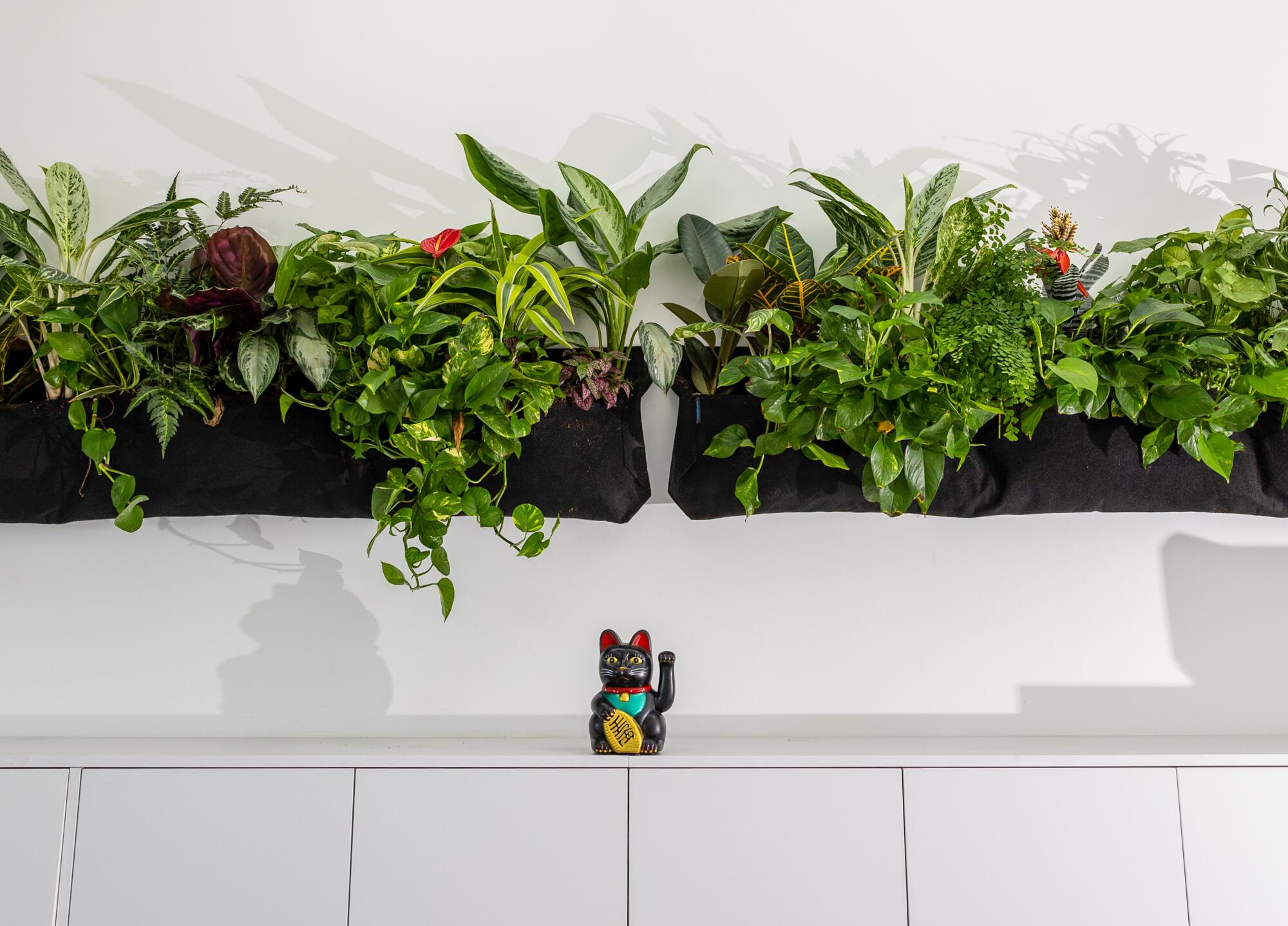 A lucky cat sits on an upper shelf at Henry Schober III's two-bedroom ADU in Venice.