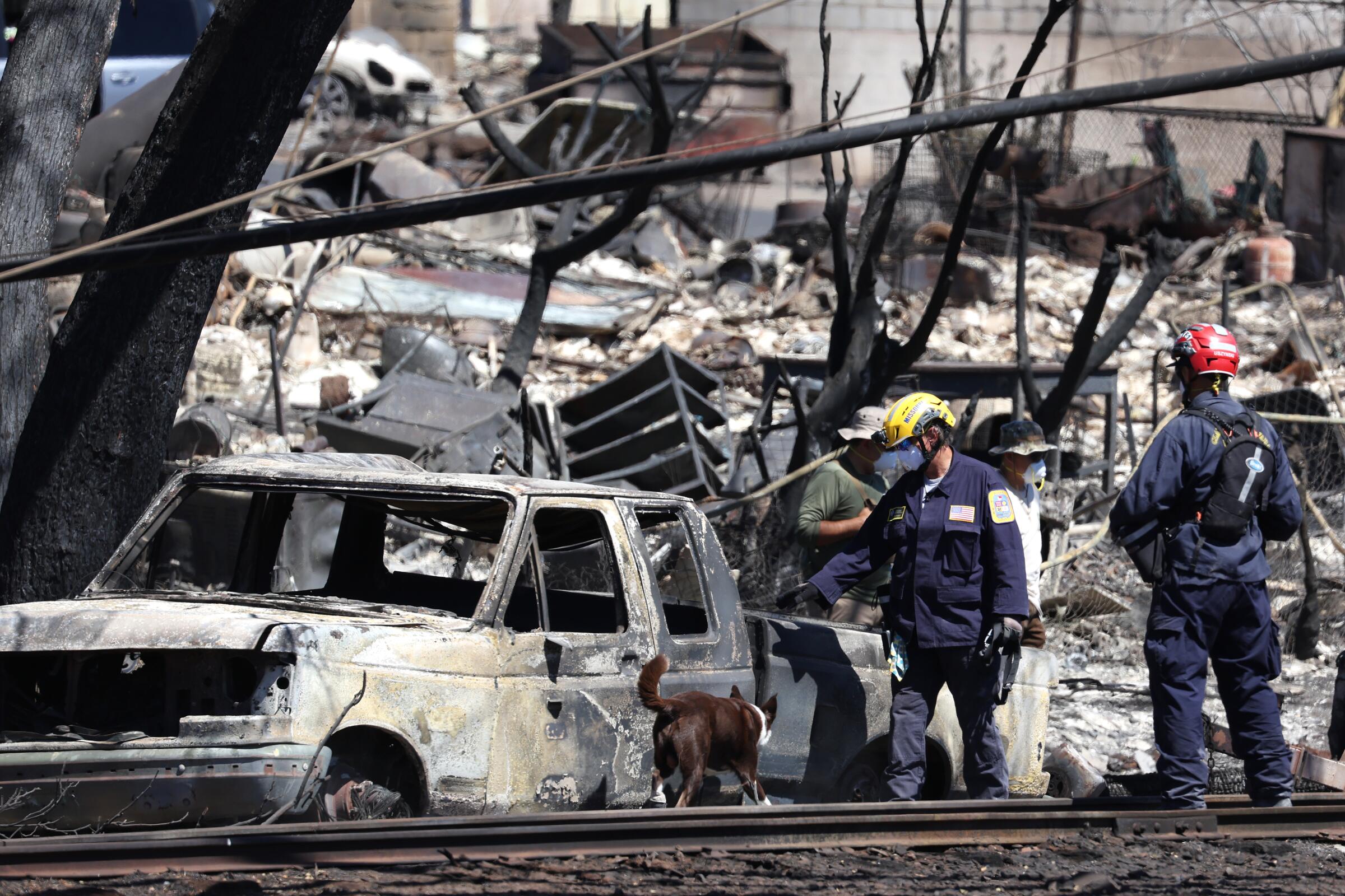 Search and rescue crews look through the burnt wreckage of buildings and vehicles in Lahaina