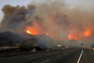 The Woolsey fire