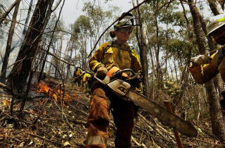 A firefighter in uniform holds a chain saw, surrounded by trees, with flames in some spots on the ground